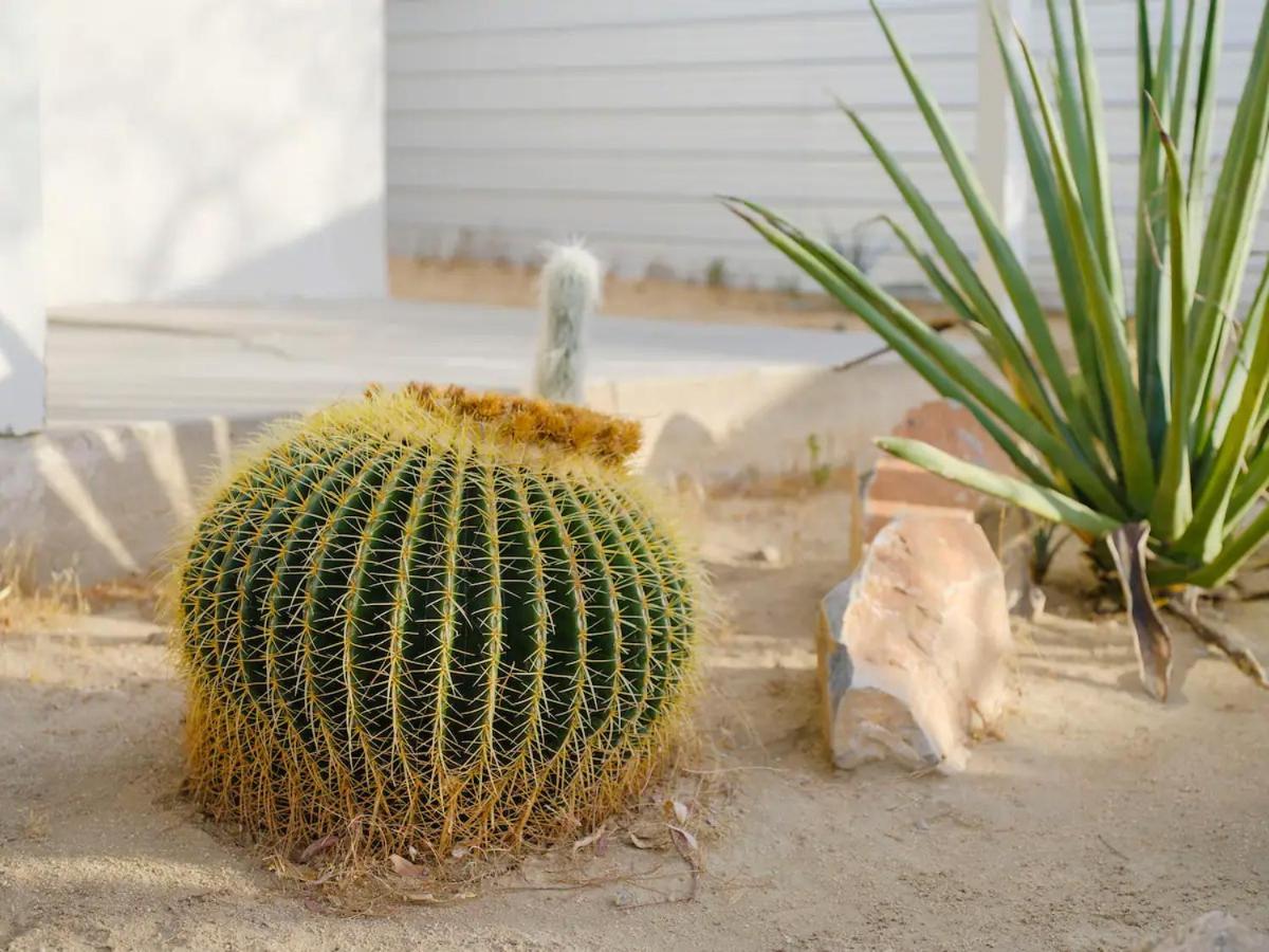 The Zen - Outdoor Shower, Gas Fireplace, Walkable To Shops & Restaurants Joshua Tree Exterior foto
